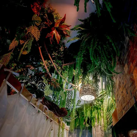 L'amazonia - Jungle * Γκρενόμπλ