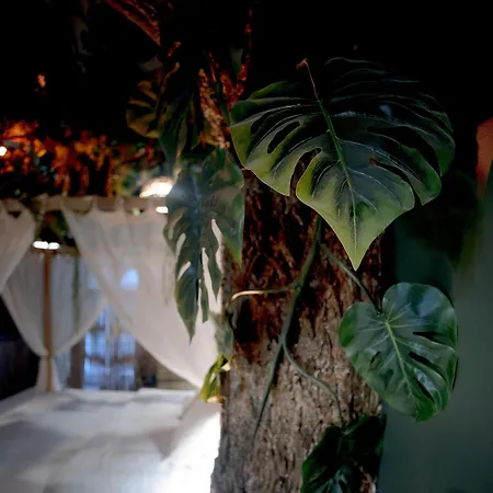 L'amazonia - Jungle Apartment Grenoble