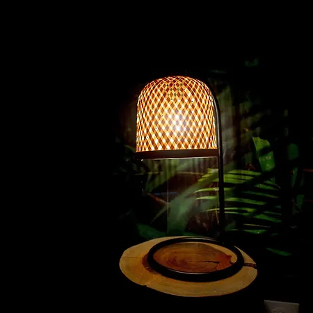 L'amazonia - Jungle Apartment *